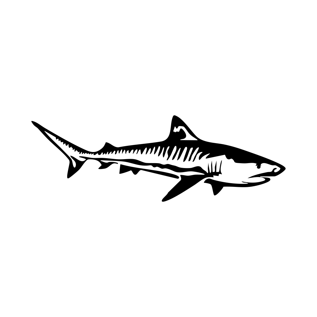 Tiger Shark Decal