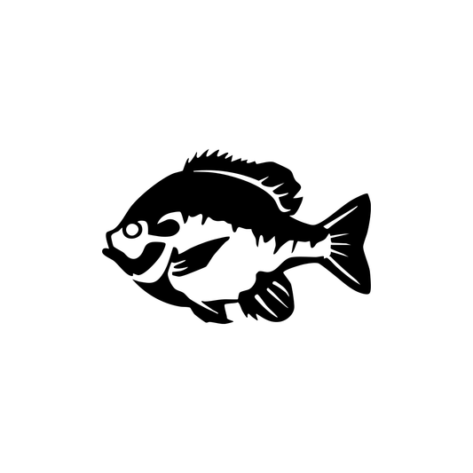 Bluegill Decal
