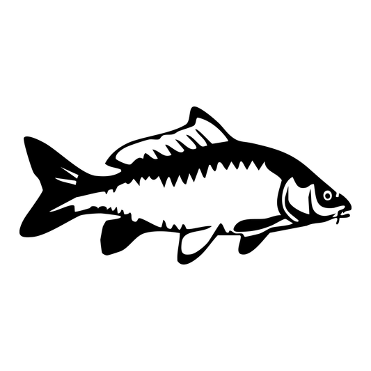Carp Decal