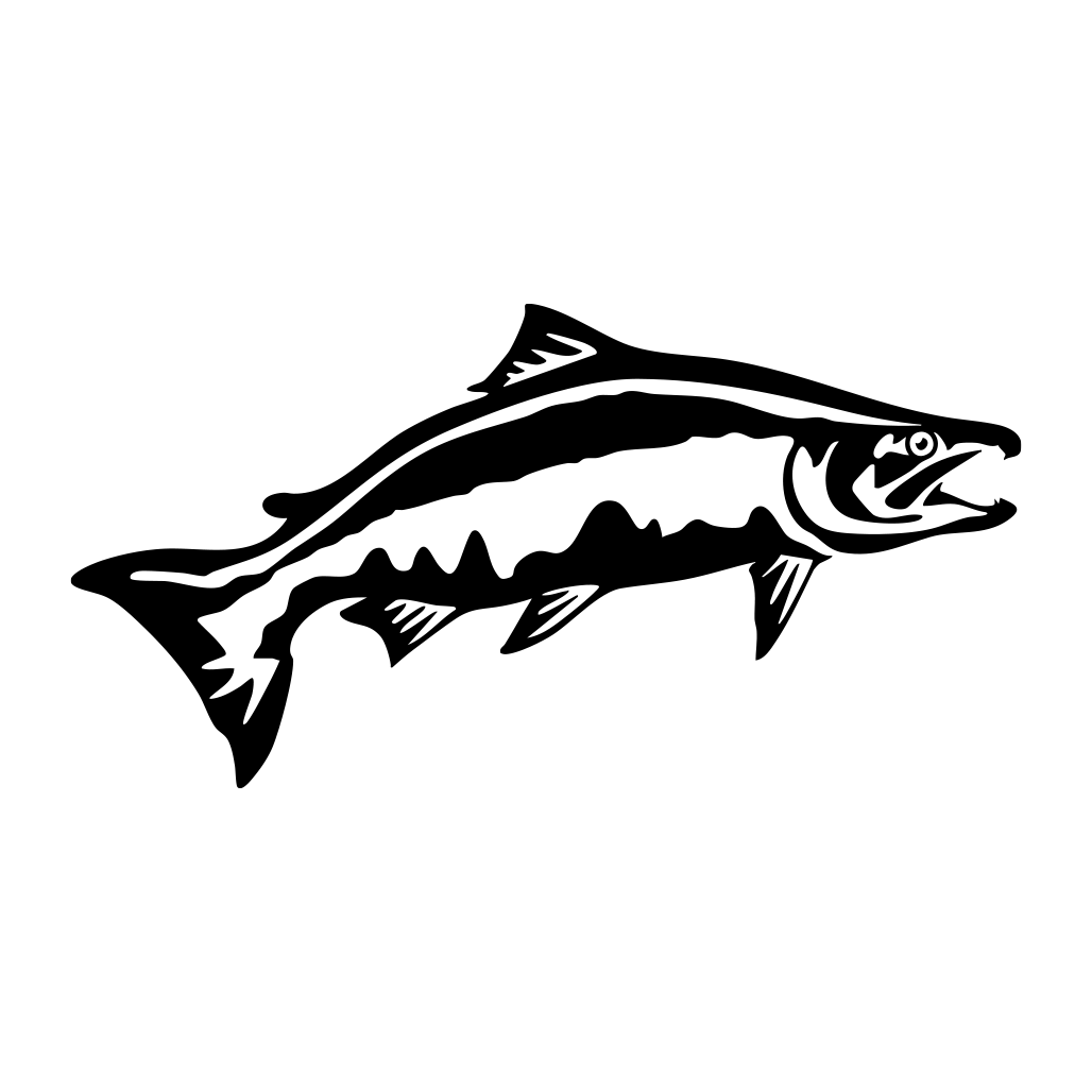 Chinook Salmon Decal