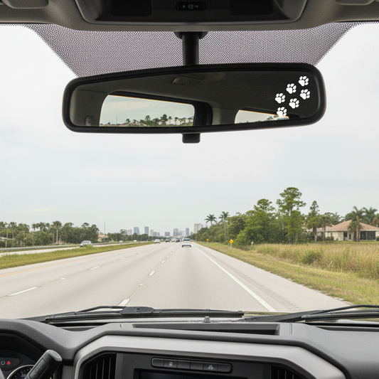 Car interior view from the driver's seat on a road with palm trees and buildings in the distance. Rearview mirror with dog paw decal visible.
