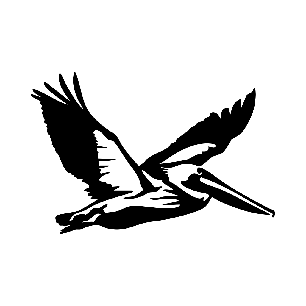 Flying Pelican Decal