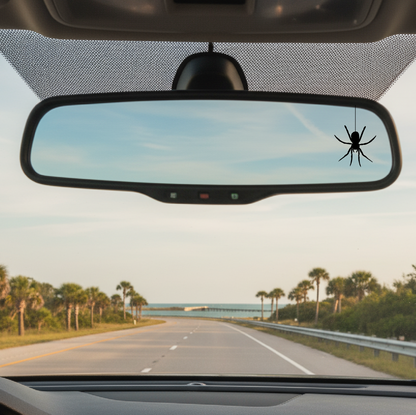 Car interior with a spider on the rearview mirror and a scenic road ahead.